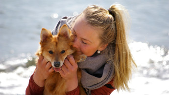 ZooRoyal belegt: Hunde sind wichtiger denn je