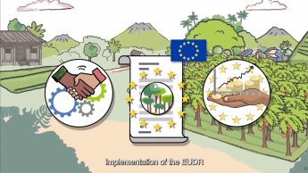EU-Entwaldungsverordnung verschoben