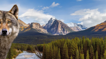 Größte Kampagne der Markengeschichte