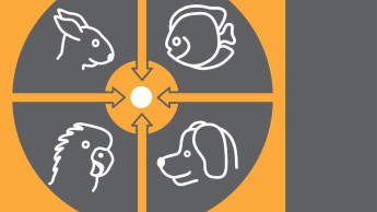 International Pet Conference in Budapest