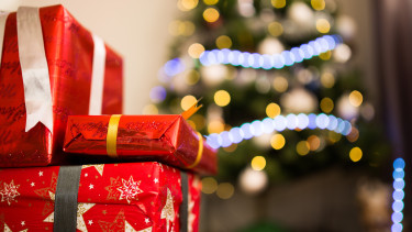 Online-Weihnachtsgeschäft mit Tierbedarf wächst leicht