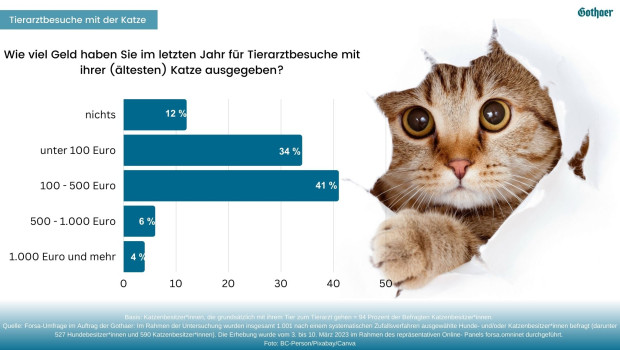 Soviel gaben Katzenbesitzerinnen und -besitzer im vergangenen Jahr beim Tierarzt für ihre Vierbeiner aus.