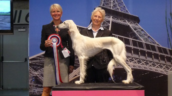 Die Hundebranche traf sich in Paris