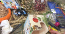 Kreativwettbewerb in Erfurt