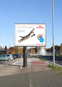 Royal Canin startet neue Kampagne Royal Canin startet neue Kampagne