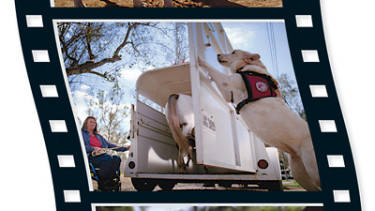 Iams freut sich über hohe Rücklaufquote