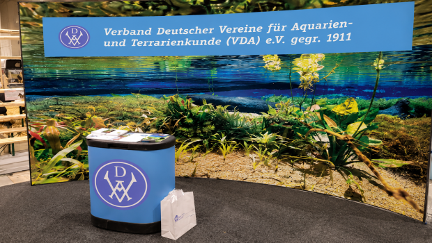 Beim Verband Deutscher Vereine für Aquarien- und Terrarienkunde (VDA) sind derzeit Ämter vakant.