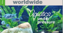 Die neue PET worldwide ist da