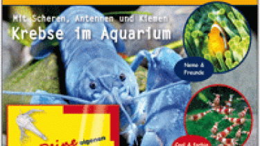 Aquaristik für Kids & Teens