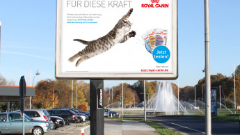 Neue Sampling-Kampagne