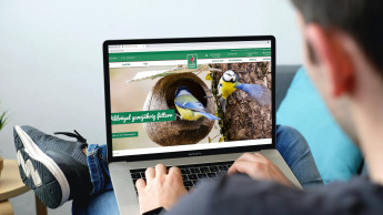 NBB startet eigenes Omnichannelkonzept