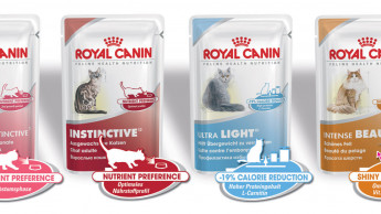 Royal Canin stellt Feuchtnahrung für Katzen vor