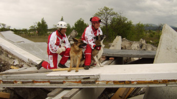 Tag der Rettungshunde