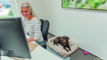 Trixie setzt auf Eignungstest für Bürohunde Trixie setzt auf Eignungstest für Bürohunde