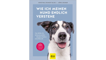 Wie ich meinen Hund endlich verstehe