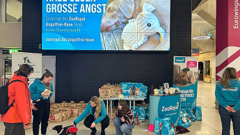 ZooRoyal und Fressnapf bieten an Flughäfen Zufluchtsorte für Hunde