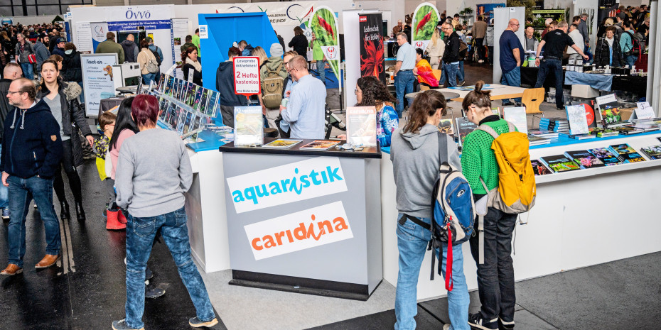 Am Stand des Dähne Verlages wurde der 30. Geburtstag der Zeitschriftaquaristik gefeiert.