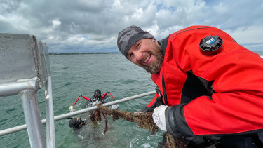 Erfolgreiche Jagd nach Geisternetzen
