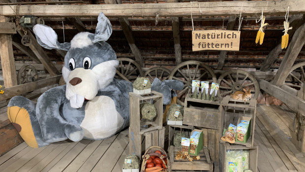 Der virtuelle Messestand ist für alle geöffnet. Der virtuelle Messestand ist für alle geöffnet.