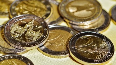 Heimtier und Garten 2025 weiter rückläufig