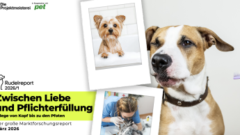 Pflicht- oder Beziehungsmoment?