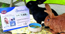 Spende an Kaninchen-Gnadenhof