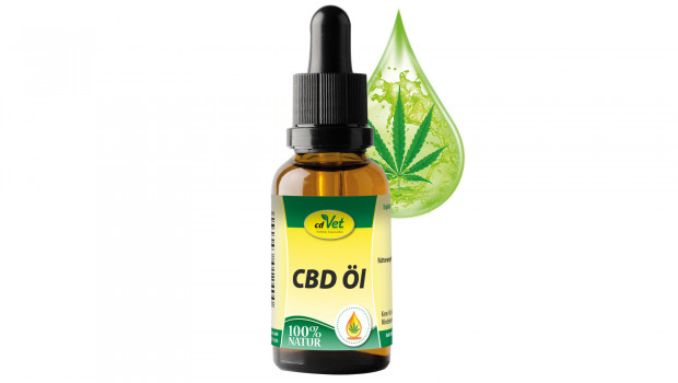 CD-Vet, CBD-Öl