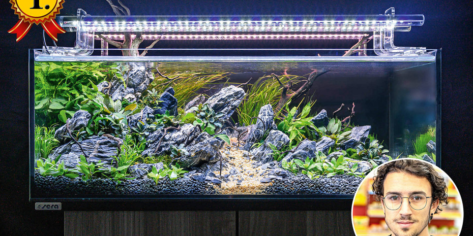 Aquascaping Challenge von Sera,
