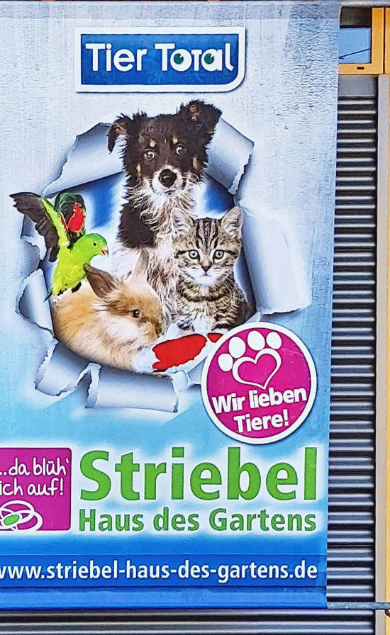 Bei der Werbung leistet die Sagaflor für ihre Partnerbetriebe viel Unterstützung. 