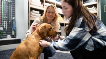 Hunter stellt Hunde-Knigge vor