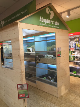 Die neue Adoptierstube im Fressnapf-Markt in Recklinghausen. Die neue Adoptierstube im Fressnapf-Markt in Recklinghausen.