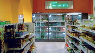 Eine neue Generation kündigt sich an