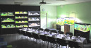 Schule für Aquarienbau