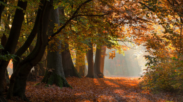 Das Futterhaus unterstützt die Deutsche Wildtier Stiftung