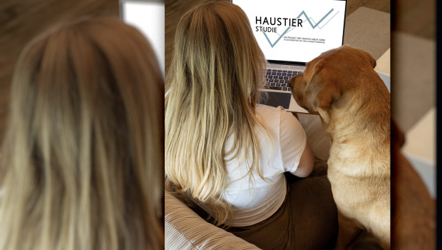 Die fünfte Ausgabe der Haustier-Studie soll erstmals auch KI-gestütztes Einkaufen untersuchen. Die fünfte Ausgabe der Haustier-Studie soll erstmals auch KI-gestütztes Einkaufen untersuchen.