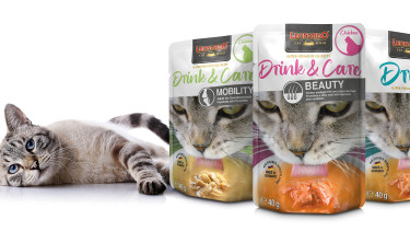 Die wichtigsten Trends