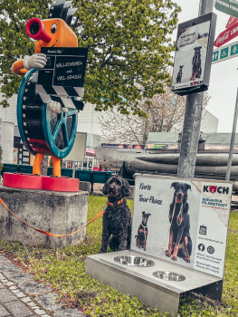In der Bavaria Filmstadt können Hunde ihren Durst in Wasserbars von Koch Heimtierwelt stillen.