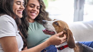 Purina setzt sich für „gesundes Altern“ ein
