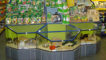 Verkaufsverbot von Tieren bis mindestens 28. März Verkaufsverbot von Tieren bis mindestens 28. März