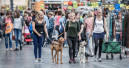 Hund & Co. kehrt zurück