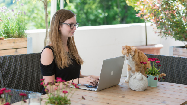 Onlinehandel gibt Gas