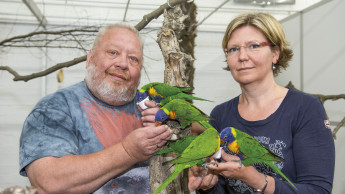 Trendwende in der Vogelabteilung