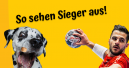Josera empfängt Hunde und Handballstars