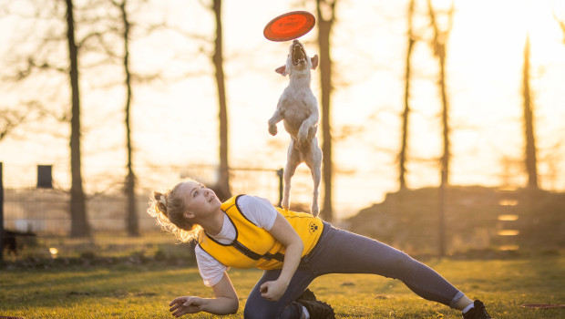 Die „Belcando“-Frisbee-Show ist eine Attraktion auf der Dogs & Fun in Dortmund.