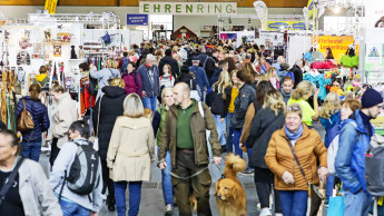 Langsam zurück zur Normalität