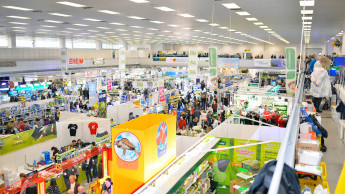 Aquaristik in Sindelfingen