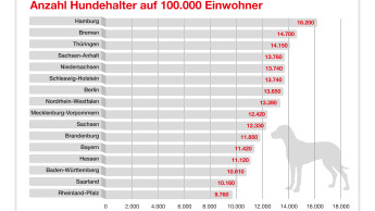 In Hamburg leben die meisten Hundehalter