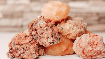 „Barfen muss glücklich machen“