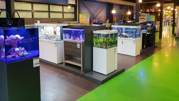 Bei Aquatop wird mit dem Tag des Aquariums die Gelegenheit gegeben, sich mit Gleichgesinnten auszutauschen und das eigene Wissen zu erweitern.