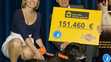 Medienpreis für soziales Engagement